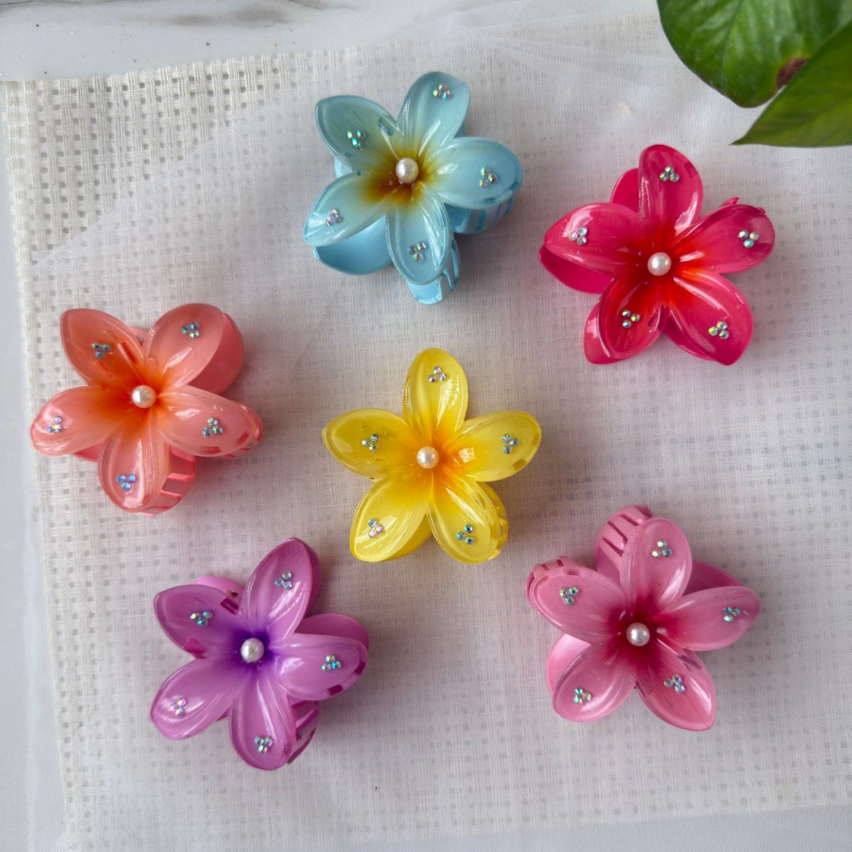 Glossy Hawaii Flower