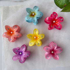 Glossy Hawaii Flower
