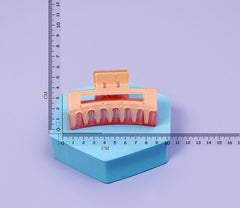 Rectangle Dual Shade Hairclaw